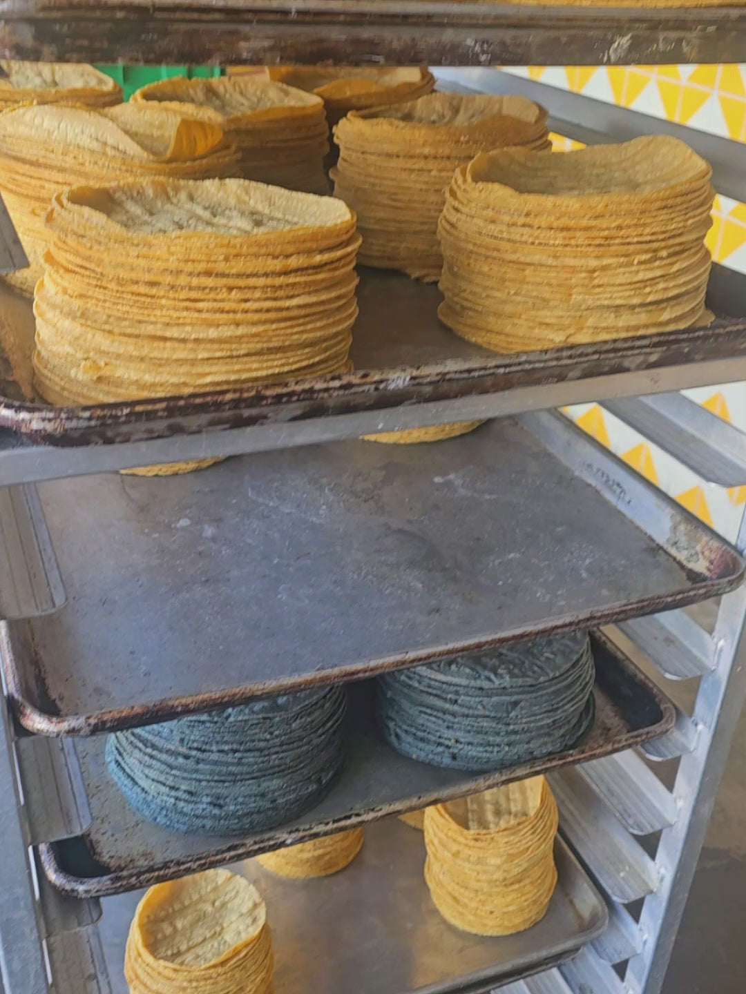 Watch stacks of organic blue and yellow corn tortillas cooling after being handmade at Grano Tortillería. Fresh, handmade, and delivered across California.
